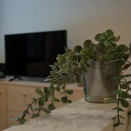 μαϊστρος House 아파트 Agios Ioannis (Thessaly)