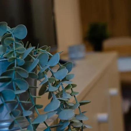 μαϊστρος House *