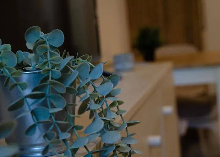 μαϊστρος House *