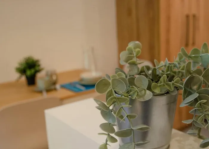 Apartament μαϊστρος House