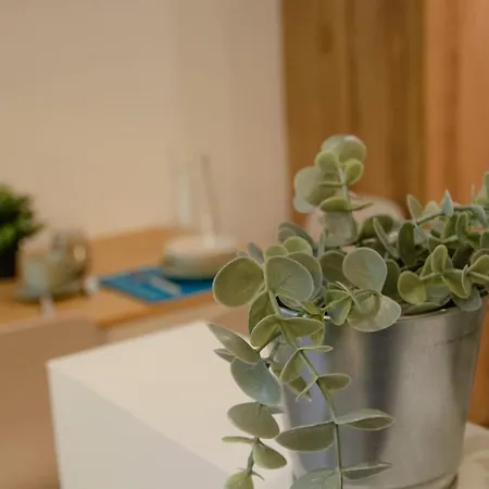 Διαμέρισμα μαϊστρος House