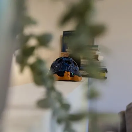 μαϊστρος House Άγιος Ιωάννης